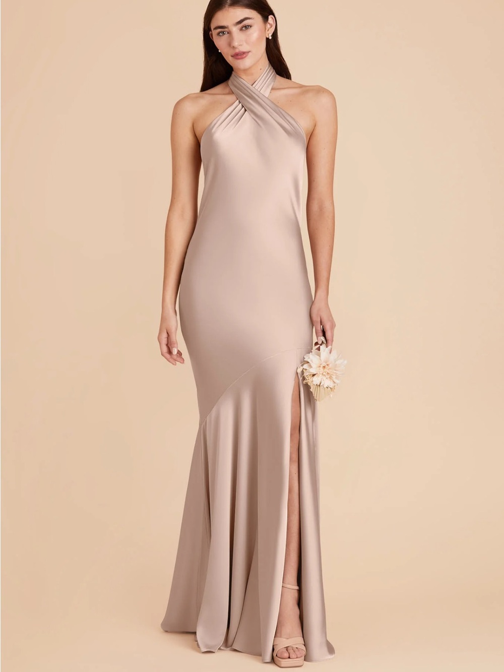 Birdy Grey Stephanie Dress in Taupe NWT